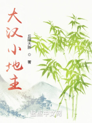 大汉小地主在线阅读