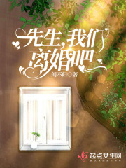 先生，我们离婚吧在线阅读