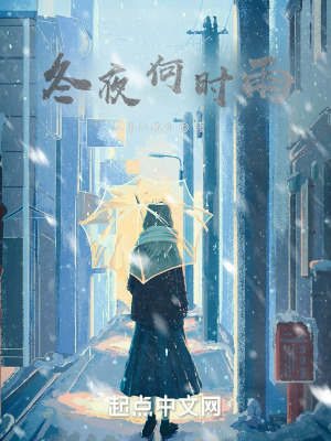 冬夜何时雨在线阅读