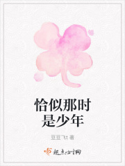 恰似那时是少年在线阅读