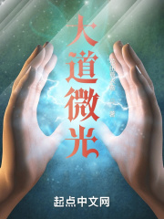 大道微光