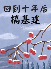 回到十年后搞基建在线阅读