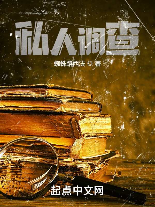 私人调查在线阅读