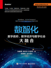 数智化：数字政府、数字经济与数字社会大融合