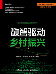 数智驱动乡村振兴