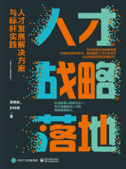 人才战略落地：人才发展解决方案与标杆实践