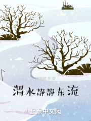 渭水静静东流在线阅读