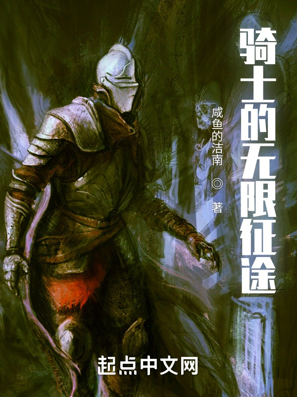 骑士的无限征途在线阅读