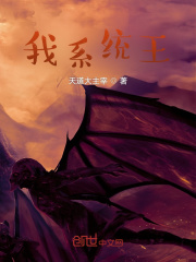 我系统王
