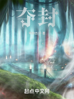 夺封封面
