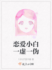 恋爱小白一虚一伪在线阅读