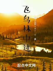 飞鸟林中过