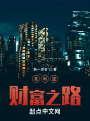 美利坚财富之路在线阅读
