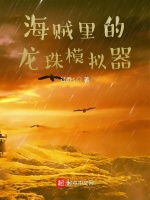 海贼里的龙珠模拟器在线阅读