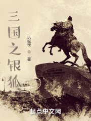 三国之银狐在线阅读