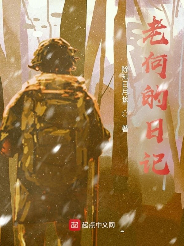 老何的日记在线阅读