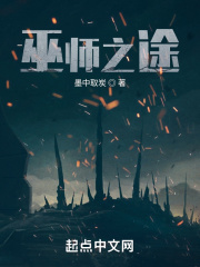 巫师之途在线阅读