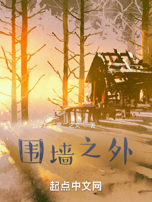 围墙之外在线阅读