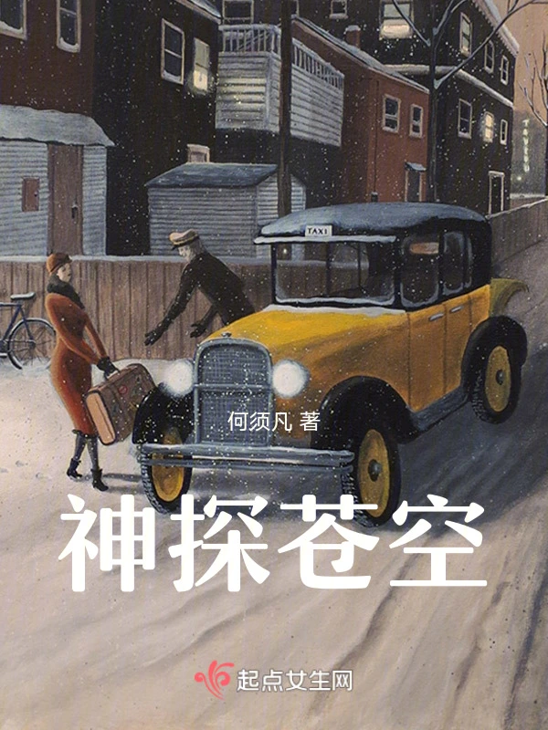 神探苍空