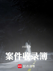 案件收录簿在线阅读