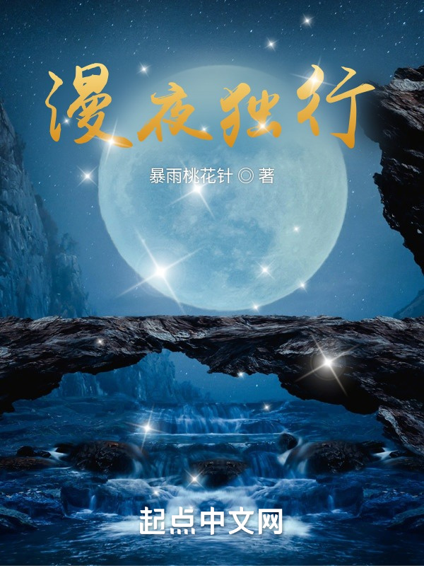 漫夜独行