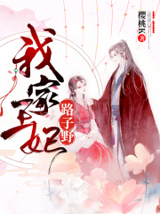 我家王妃路子野
