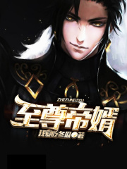 至尊帝婿
