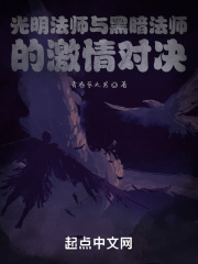 光明法师与黑暗法师的激情对决在线阅读