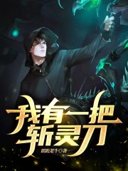 我有一把