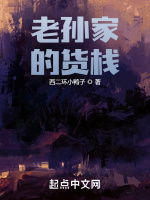 老孙家的货栈在线阅读