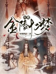 红楼：金陵十二梦