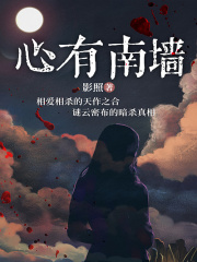 心有南墙