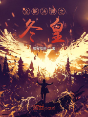 全职法师之冬皇在线阅读