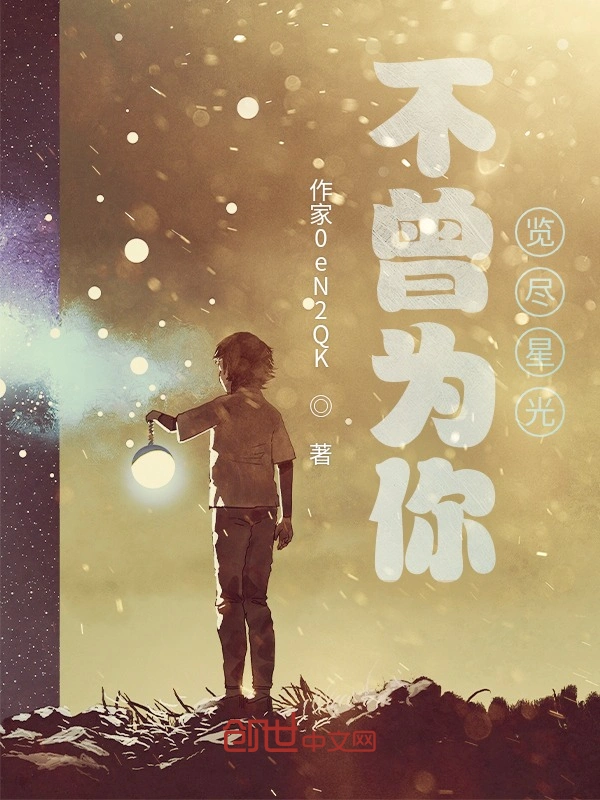 不曾为你览尽星光