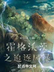 霍格沃茨之追逐风暴在线阅读