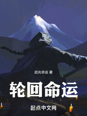 轮回命运在线阅读