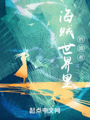 海贼世界里的旅者在线阅读