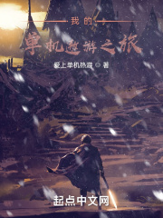 我的单机遨游之旅在线阅读