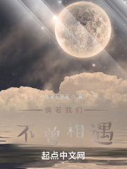 倘若我们不曾相遇在线阅读