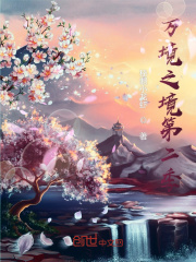 万境之境第二季