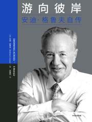 游向彼岸：安迪·格鲁夫自传