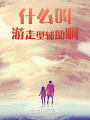 什么叫游走型辅助啊在线阅读