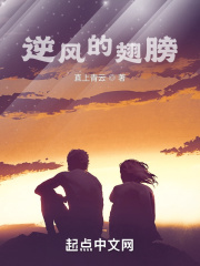 逆风的翅膀在线阅读