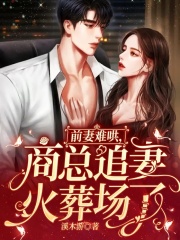 前妻难哄，商总追妻火葬场了在线阅读