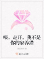 喂，走开，我不是你的家养猫在线阅读
