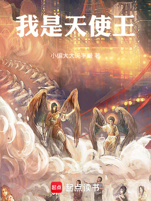 我是天使王
