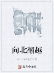 向北翻越在线阅读
