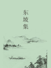 东坡集