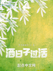 洒日子过活在线阅读