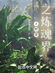 z时空之炼魂界在线阅读